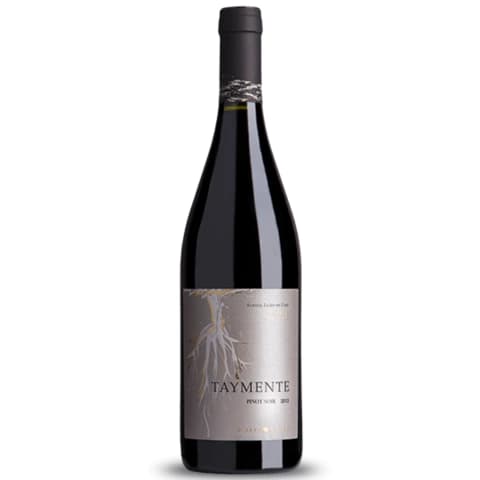 TAYMENTE PINOT NOIR