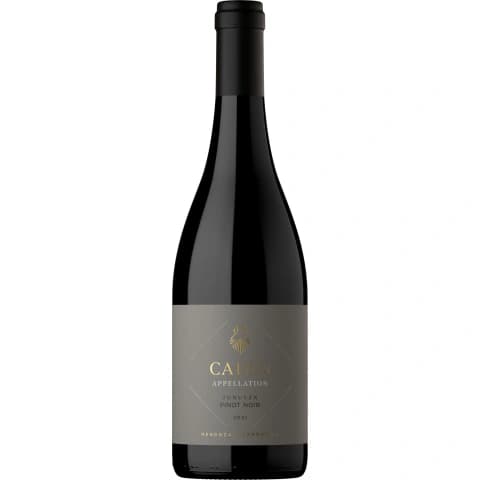 Cadus Tupungato Appellation Pinot Noir