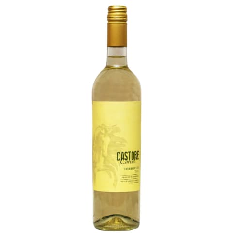 CASTORE TORRONTÉS