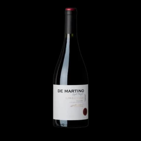 DE MARTINO (Santa Teresa) Alto de los Toros Syrah 2011