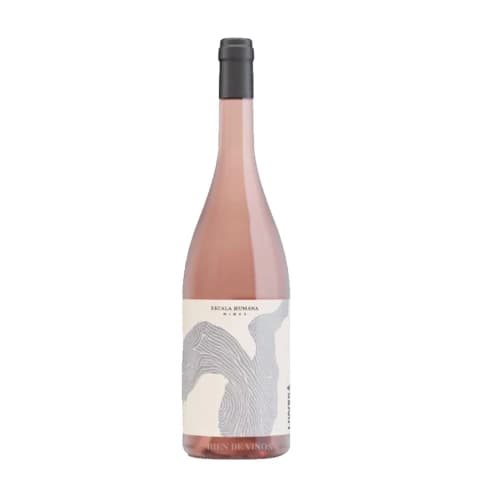 Livvera Sangiovese Rosado - San Jose, Tupungato