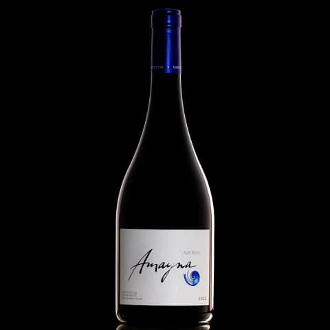 Garces Silva Amayna Pinot Noir 2022