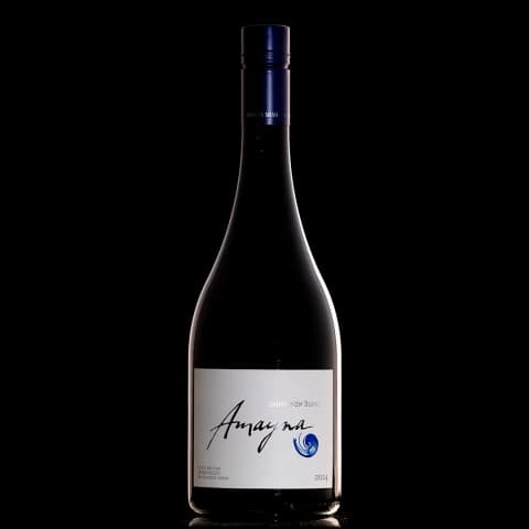 Garces Silva Amayna Sauvignon Blanc 2024