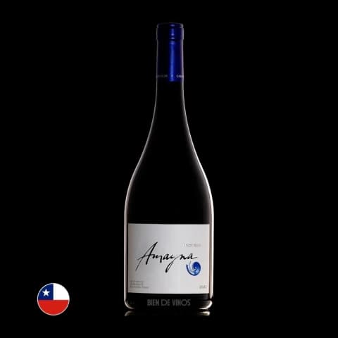 Garces Silva Amayna Pinot Noir 2022