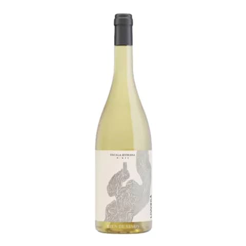 Livvera Malvasia - El Zampal, Tupungato