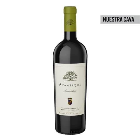 Altamisque Assemblage 2017