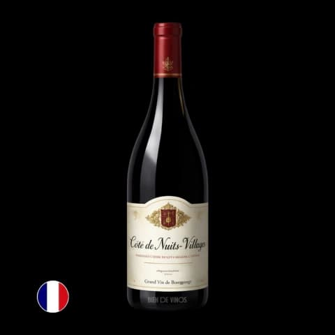 Vino Jean Marc Millot Cote De Nuits Villages Vieilles Vignes 2023