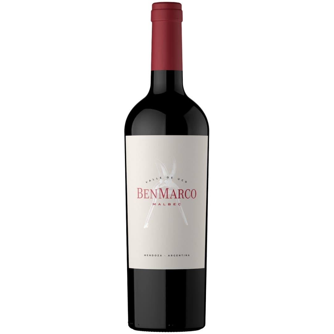 BenMarco Malbec Los Chacayes