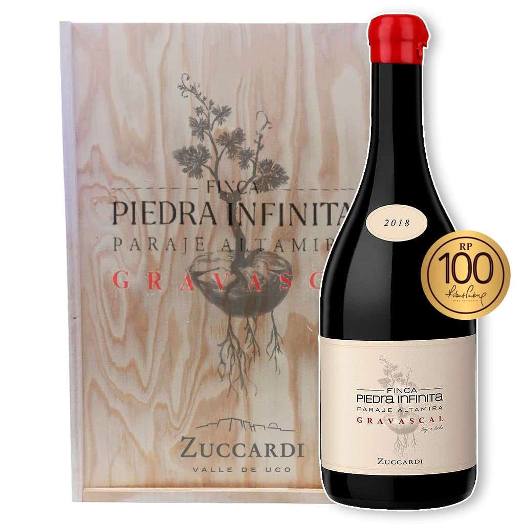 Vino Gravascal Piedra Infinita Malbec 2017