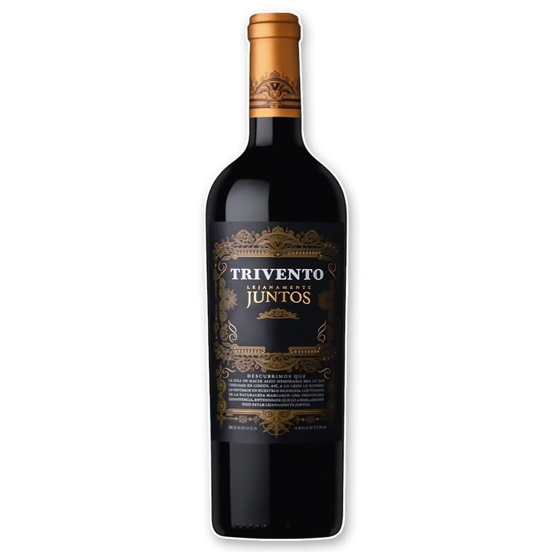 Vino Lejanamente Juntos Blend de Tintas 750ml
