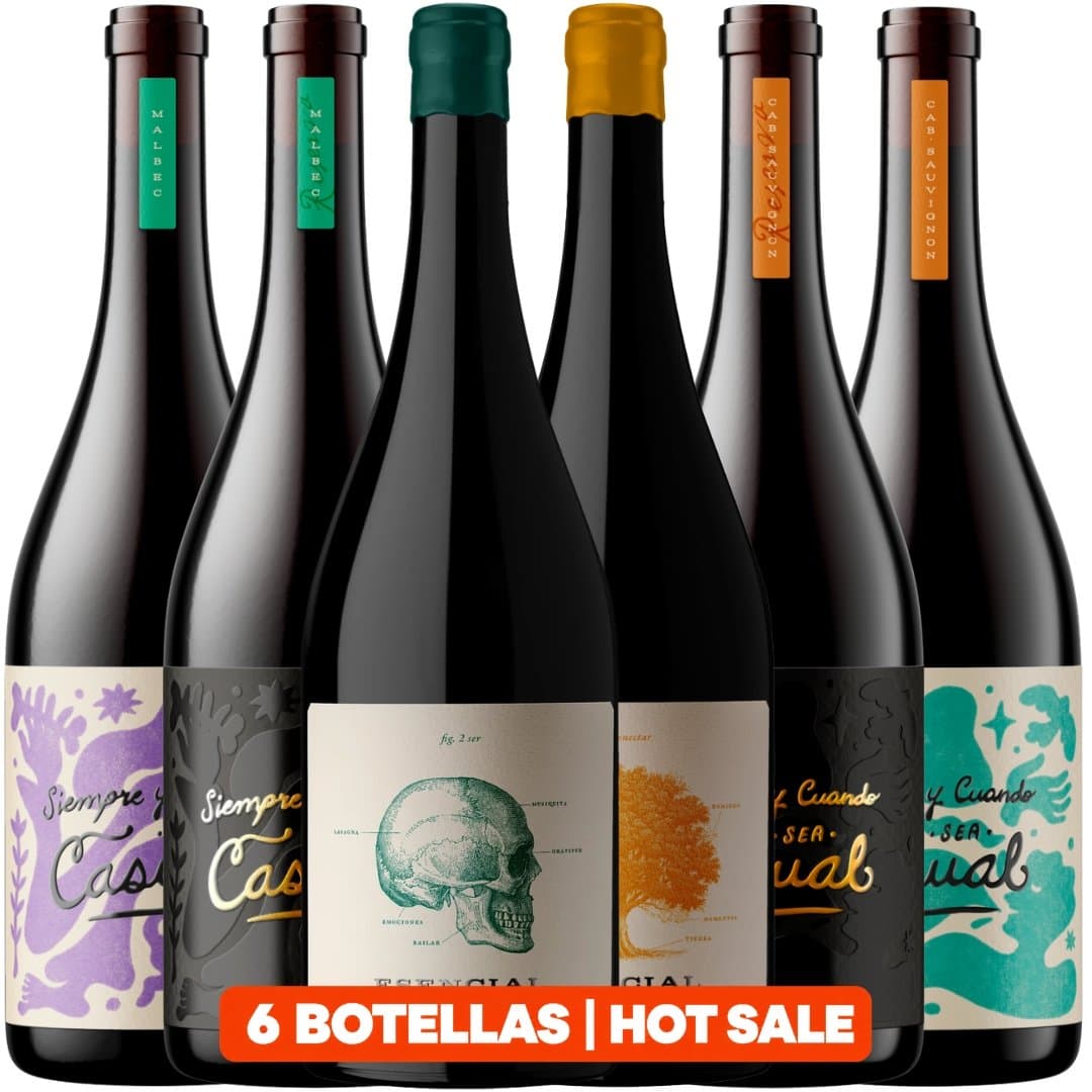 Descubrí Bodega Viña Alta en 6 Botellas | Hot Sale
