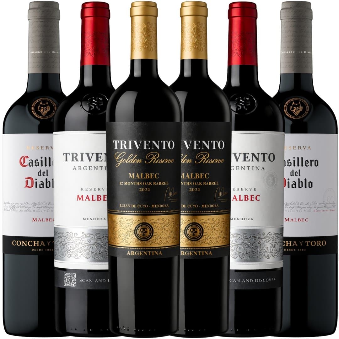 Descubrí Bodega Trivento en 6 Botellas