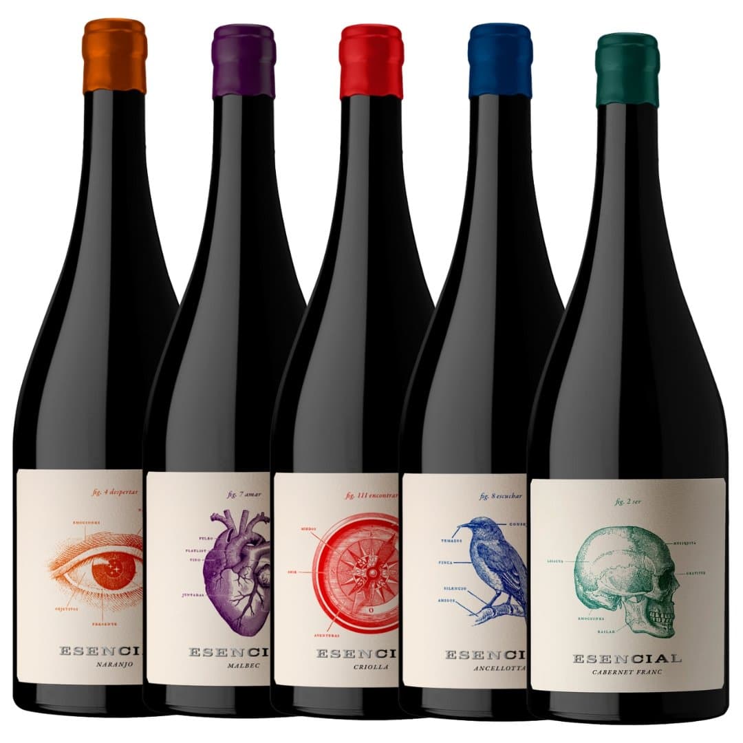 Mix Viña Alta Esencial 5 Botellas