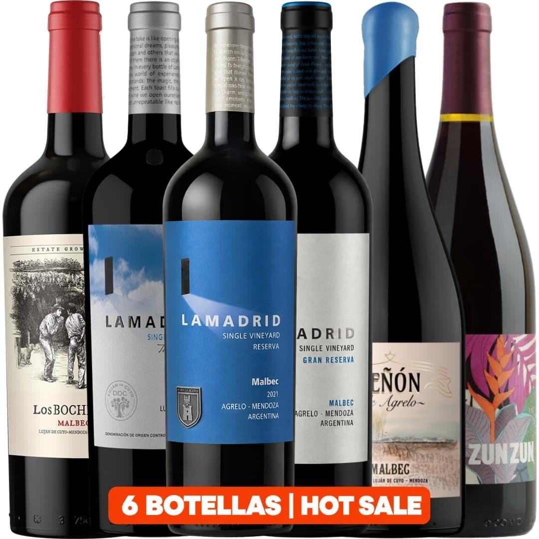 Descubrí Bodega Lamadrid en 6 Botellas | Hot Sale
