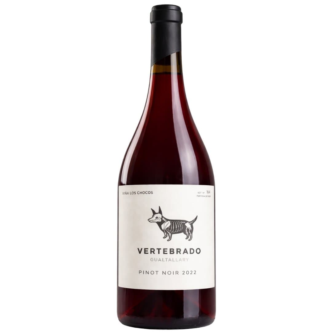 Vino Vertebrado Pinot Noir 750ml | Gualtallary