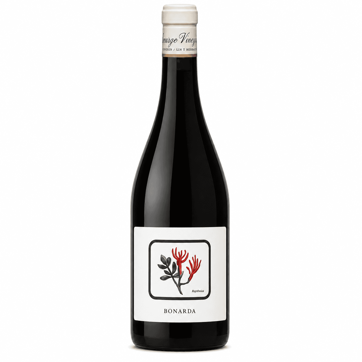 Vino Santiago Vignoni Bonarda 750ml | Este de Mendoza