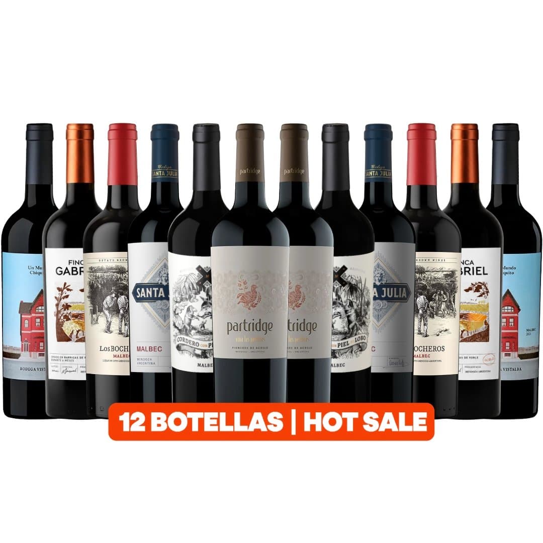 Mega Mix Vinos 12 Botellas Clásicos de Mendoza | Hot Sale