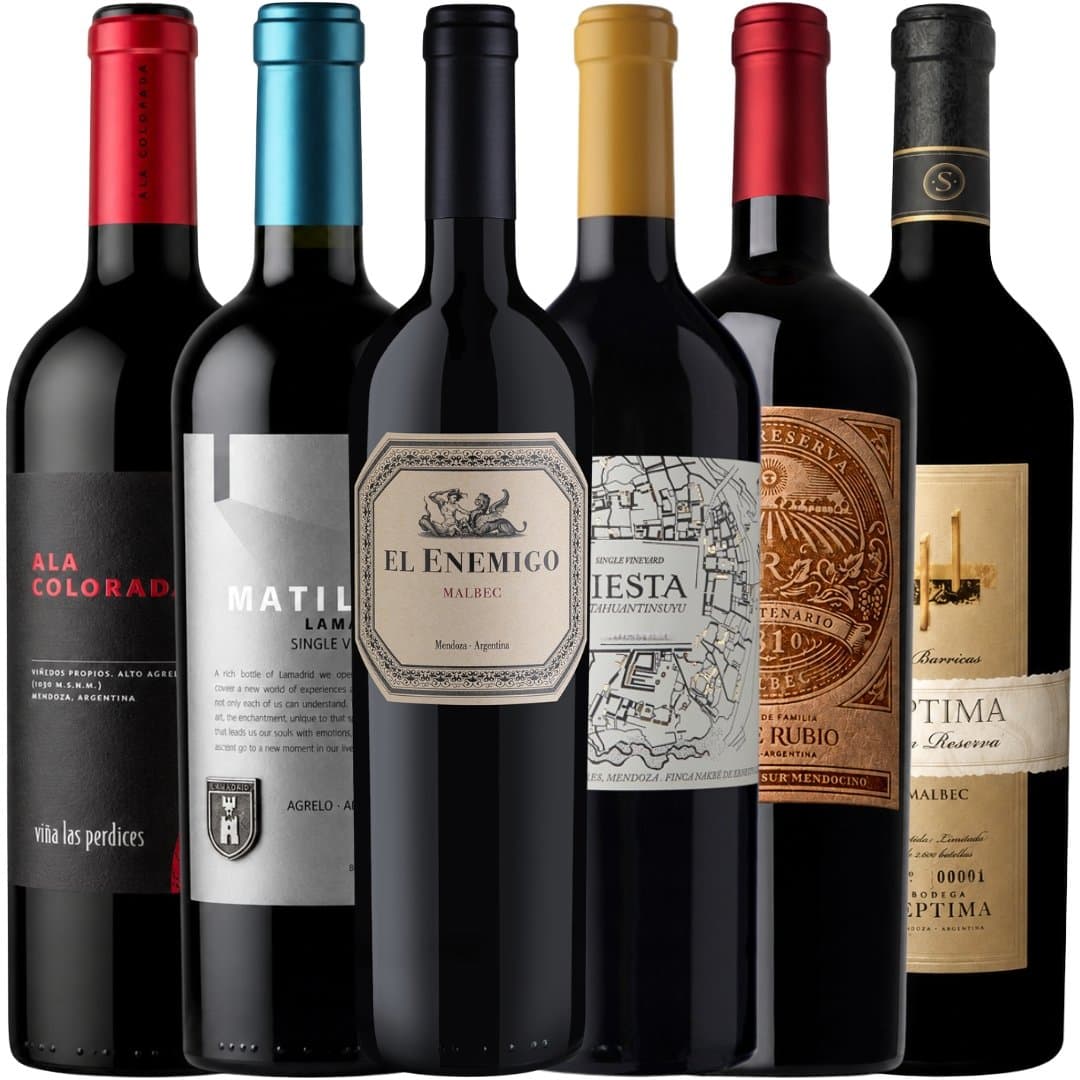 Mix Vinos 6 Botellas Para Lucirte