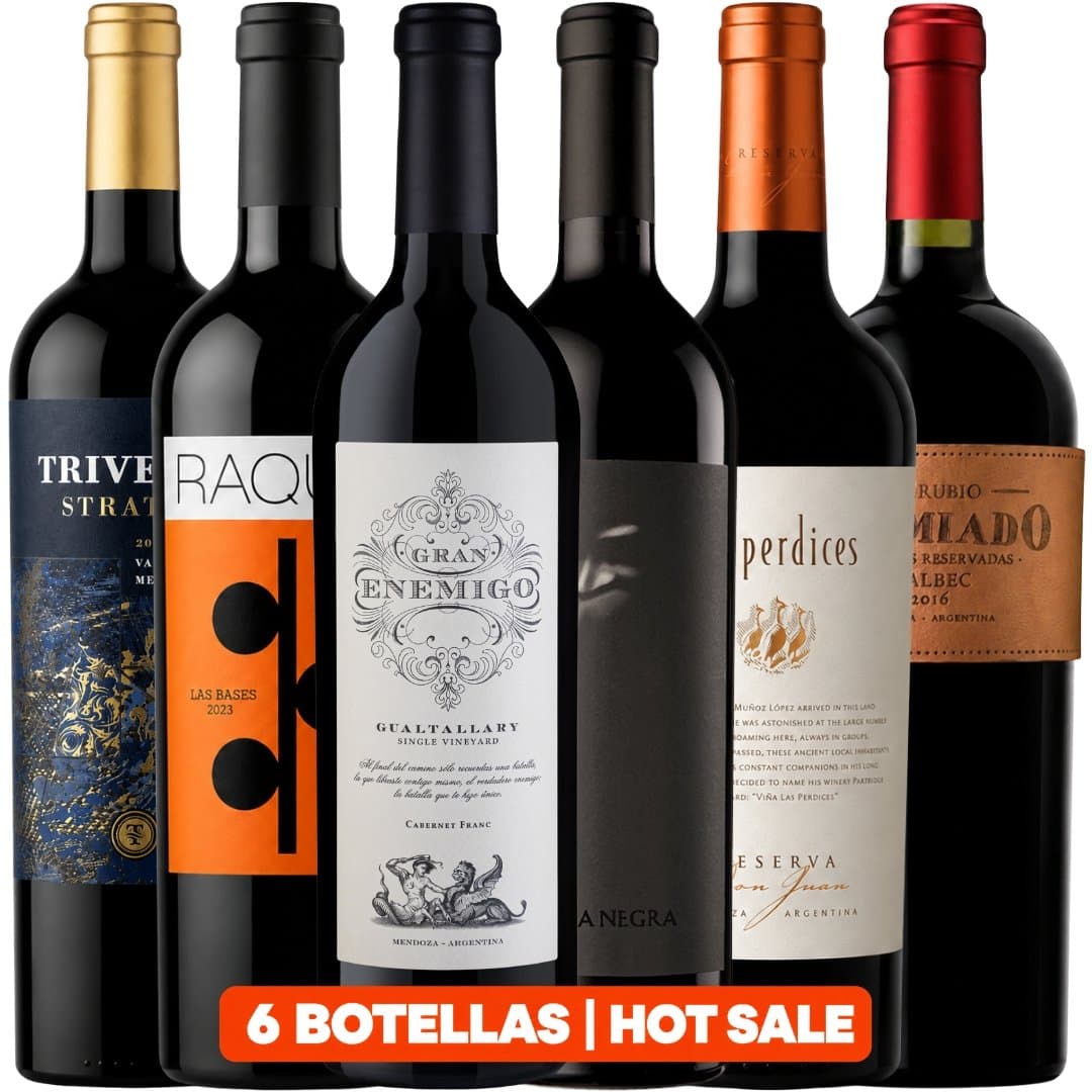 Mix Vinos 6 Botellas Tope de Gama | Hot Sale