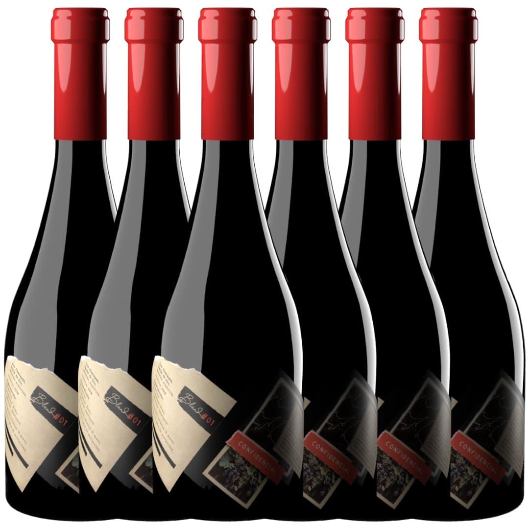 Vino Proyecto X Confidencial Blend Tinto 750ml | Blend #01