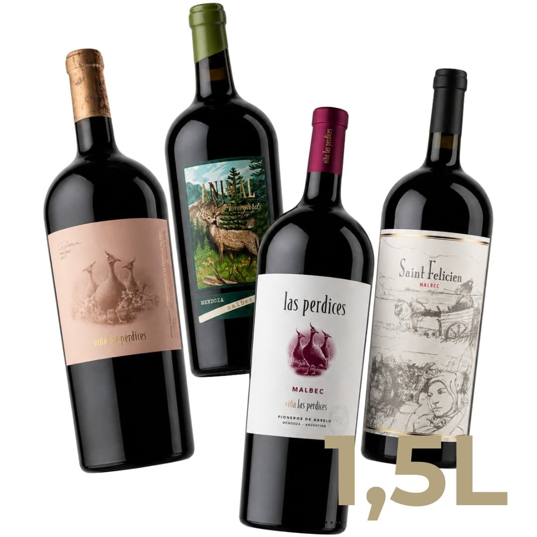 Combo Grandes Formatos Malbec x4 | 4 Magnum 1.5 litros