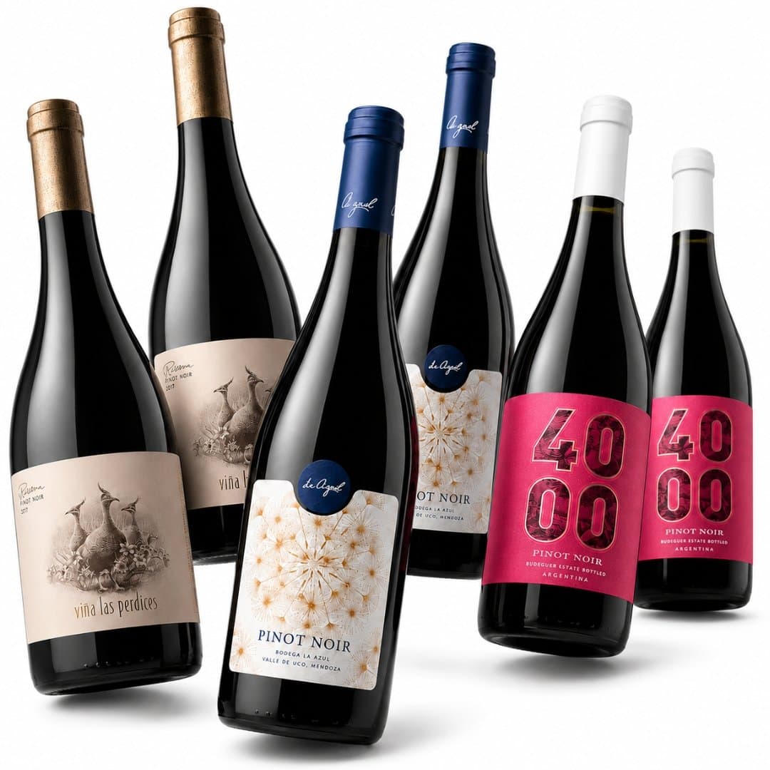 La Elegancia Va por Dentro | Mix Pinot Noir x6