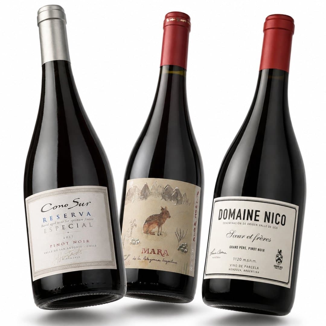 Tres Paisajes en una Copa | Mix Pinot Noir x3