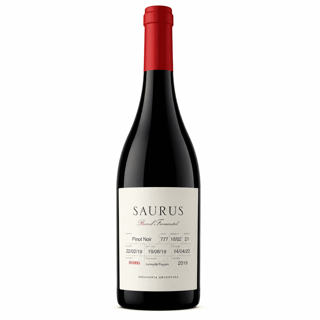 Caja Saurus Barrel Fermented Pinot Noir x6 | Patagonia