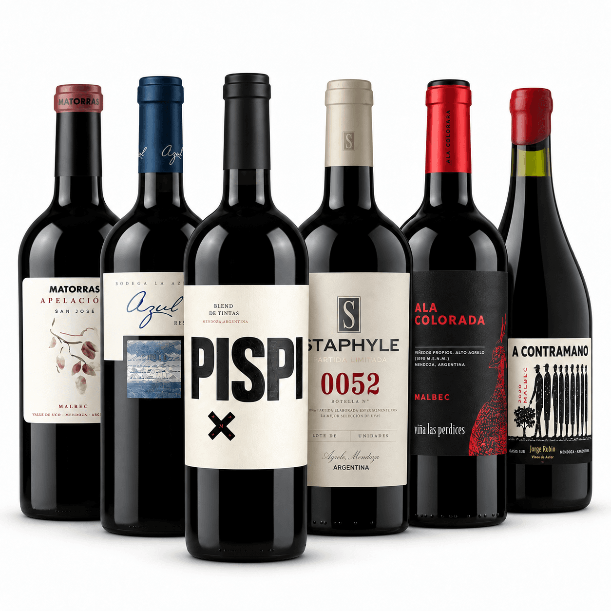 Mix Destapá y Disfrutá x6 | Vinos para Descubrir