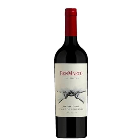 BenMarco Sin Límites Malbec Pedernal