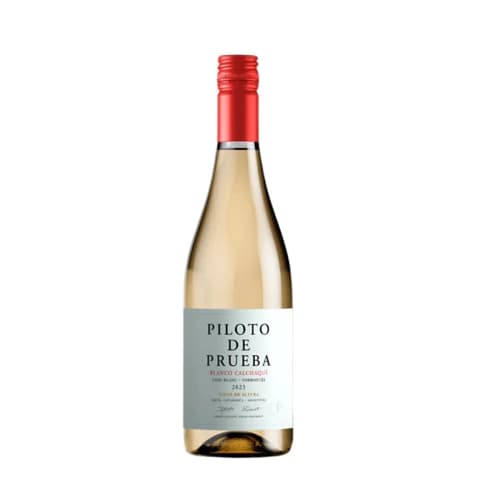PILOTO DE PRUEBA BLANCO CALCHAQUÍ