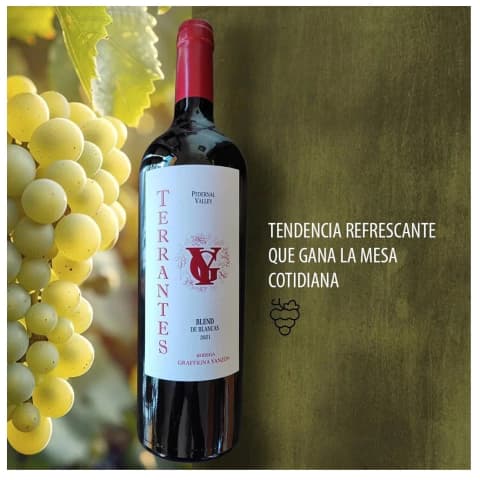 Finca DD Terrantes