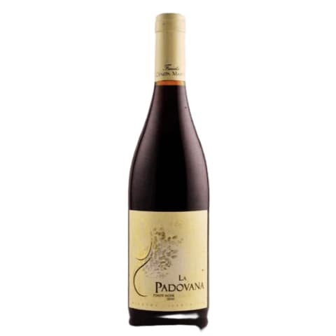 La Padovana Reserva Pinot Noir 2022 by Canepa Martin