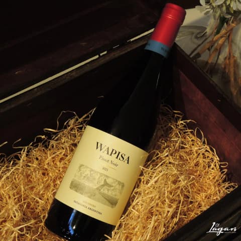 Wapisa Pinot Noir 750cc - Bodega Tapiz