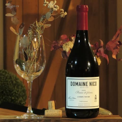 Domaine Nico La Savante Pinot Noir