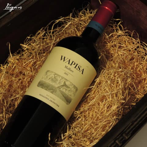 Wapisa Malbec 750cc - Bodega Tapiz