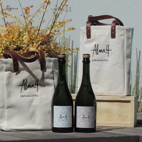 Bolso de Tela ALMA 4 x2: 1 Pinot-Chardonnay & 1 Pinot Rosé 750cc