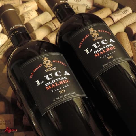 Luca Malbec 750cc Bodega Casa Pirques