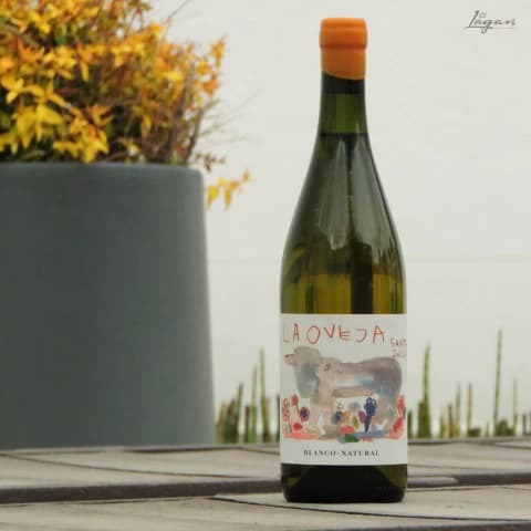 LA OVEJA Torrontés Natural 750cc - Bodega Santa Julia