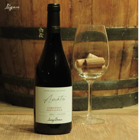 Apuntes Cabernet