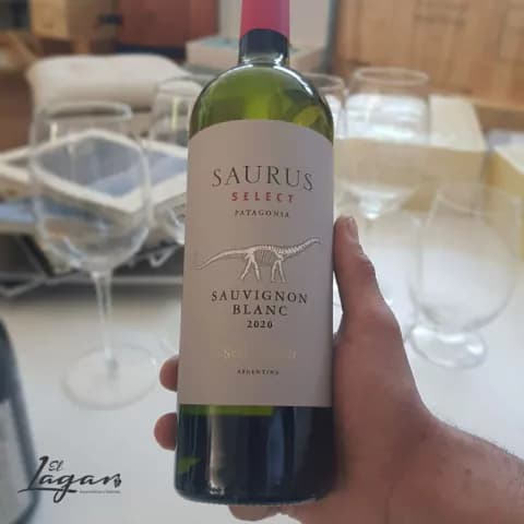 Saurus Select Sauvignon Blanc 750cc