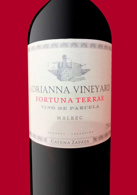 ADRIANNA FORTUNA TERRAE MALBEC 2021
