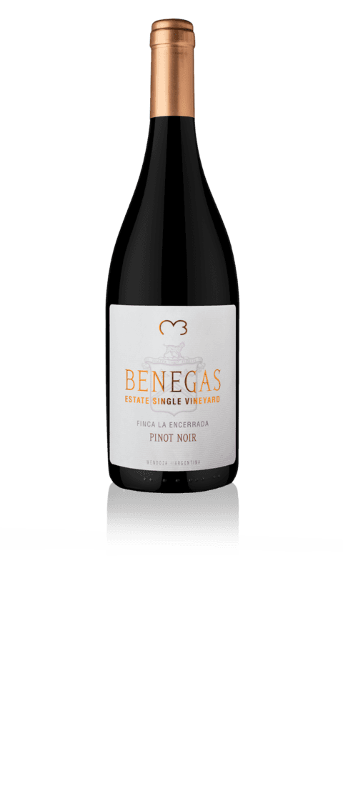 Bodega Benegas Lynch - Pinot Noir Single Vineyard