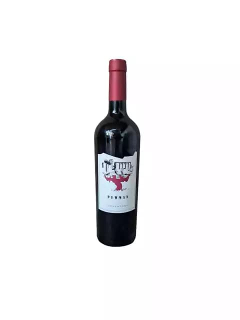 Atipax Vinos de Autor - Pewman Malbec