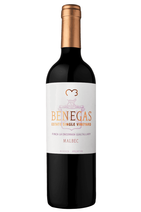 Bodega Benegas Lynch - Malbec Single Vineyard