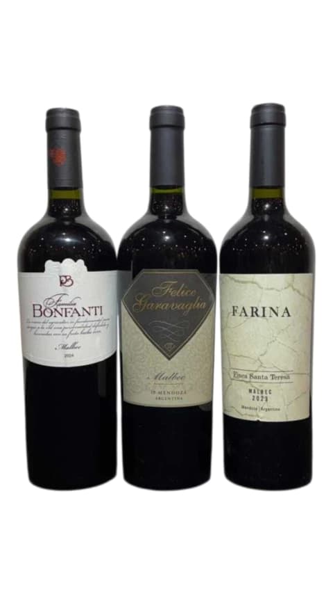 Degustación N°6 Malbec Deluxe
