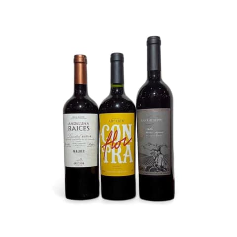 Degustación N°5 Malbec II Tres Lujitos