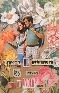 Finca Las Payas - Amor de Primavera -Nero D Avola