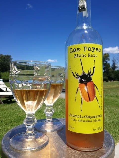 Finca Las Payas - Bicho Raro - Patricia + Malvina