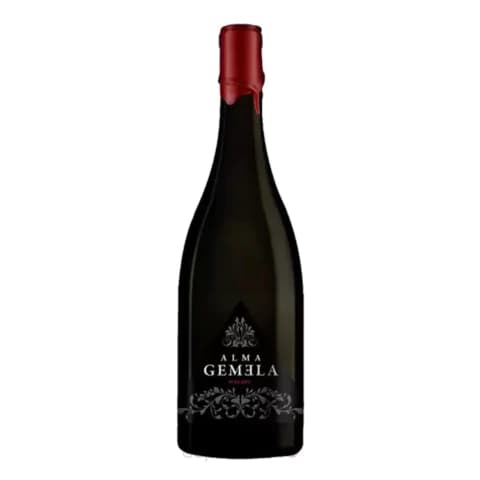 Alma Gemela Malbec